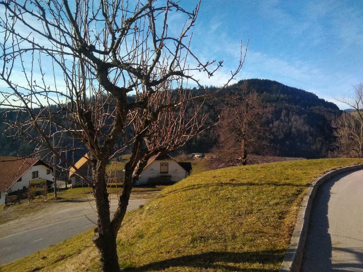 Apartment Jorsi With Mountain View Zreče Exterior foto