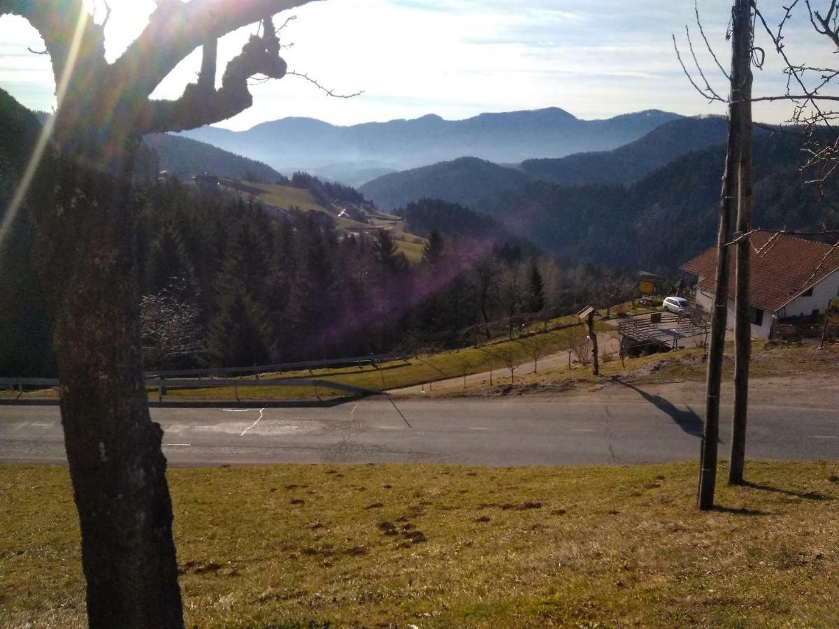 Apartment Jorsi With Mountain View Zreče Exterior foto